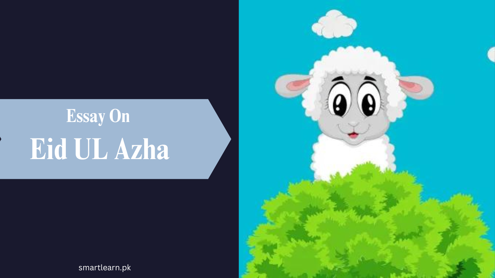 Essay on Eid Ul Azha