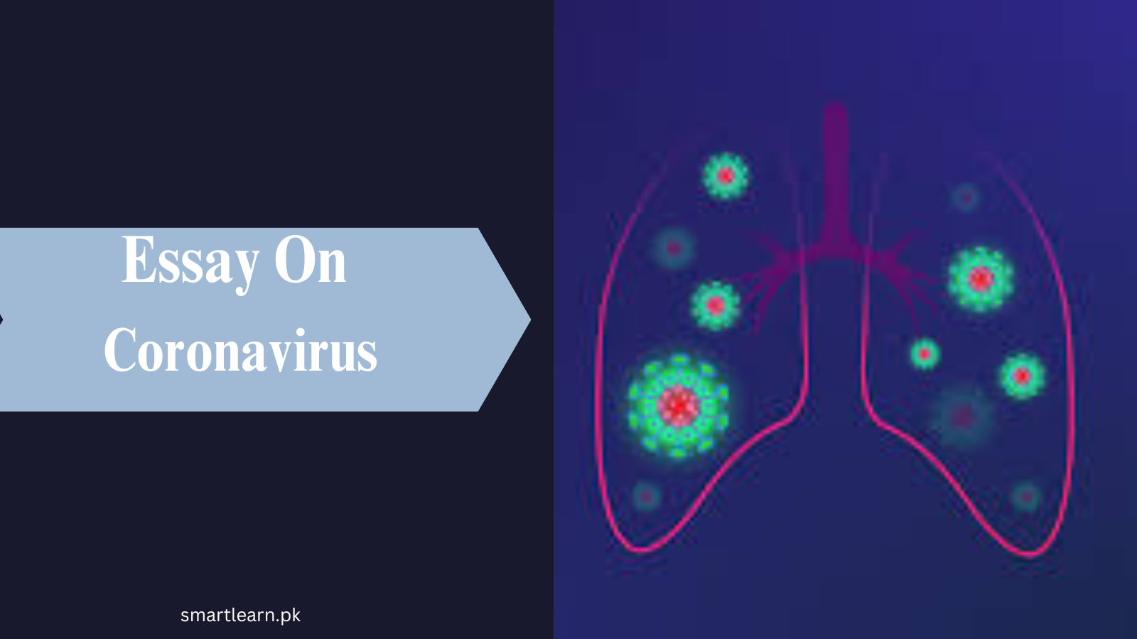 Essay on Coronavirus