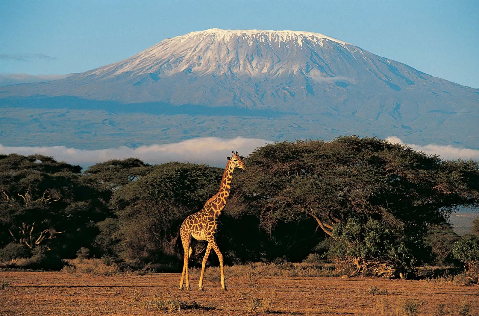 Mount Kilimanjaro (Tanzania)-12 Most Famous Mountains In The World