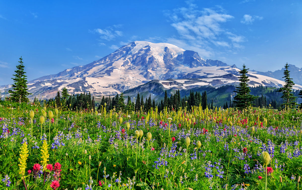 Mount Rainier (Washington)