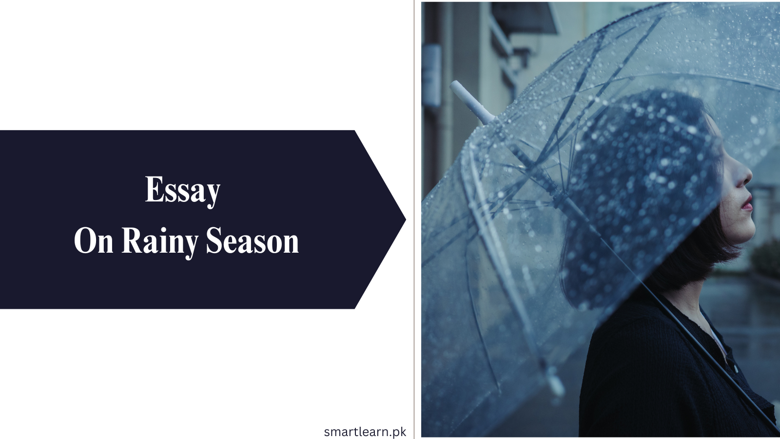 Essay On Rainy Season