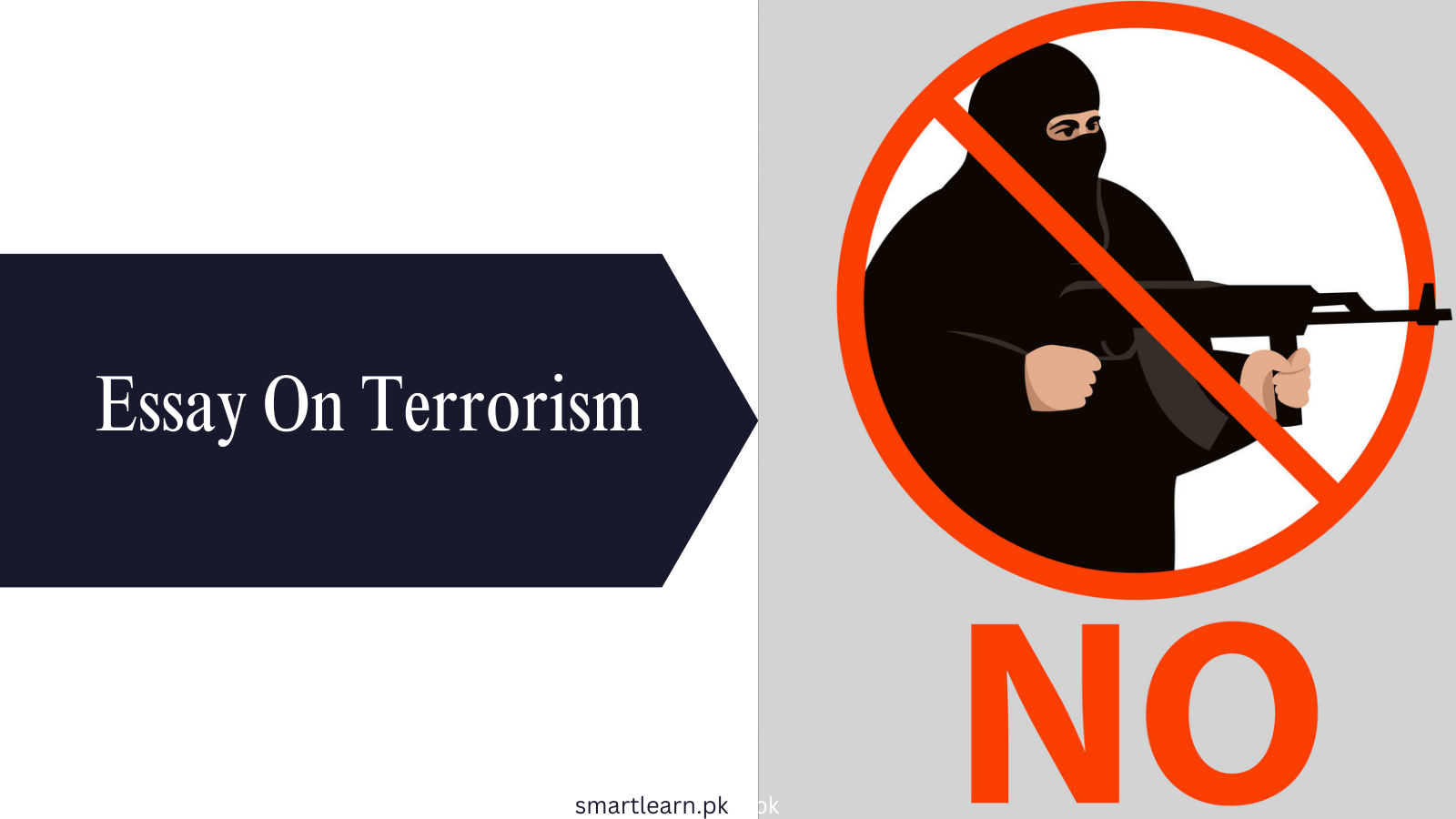 Essay On Terrorism