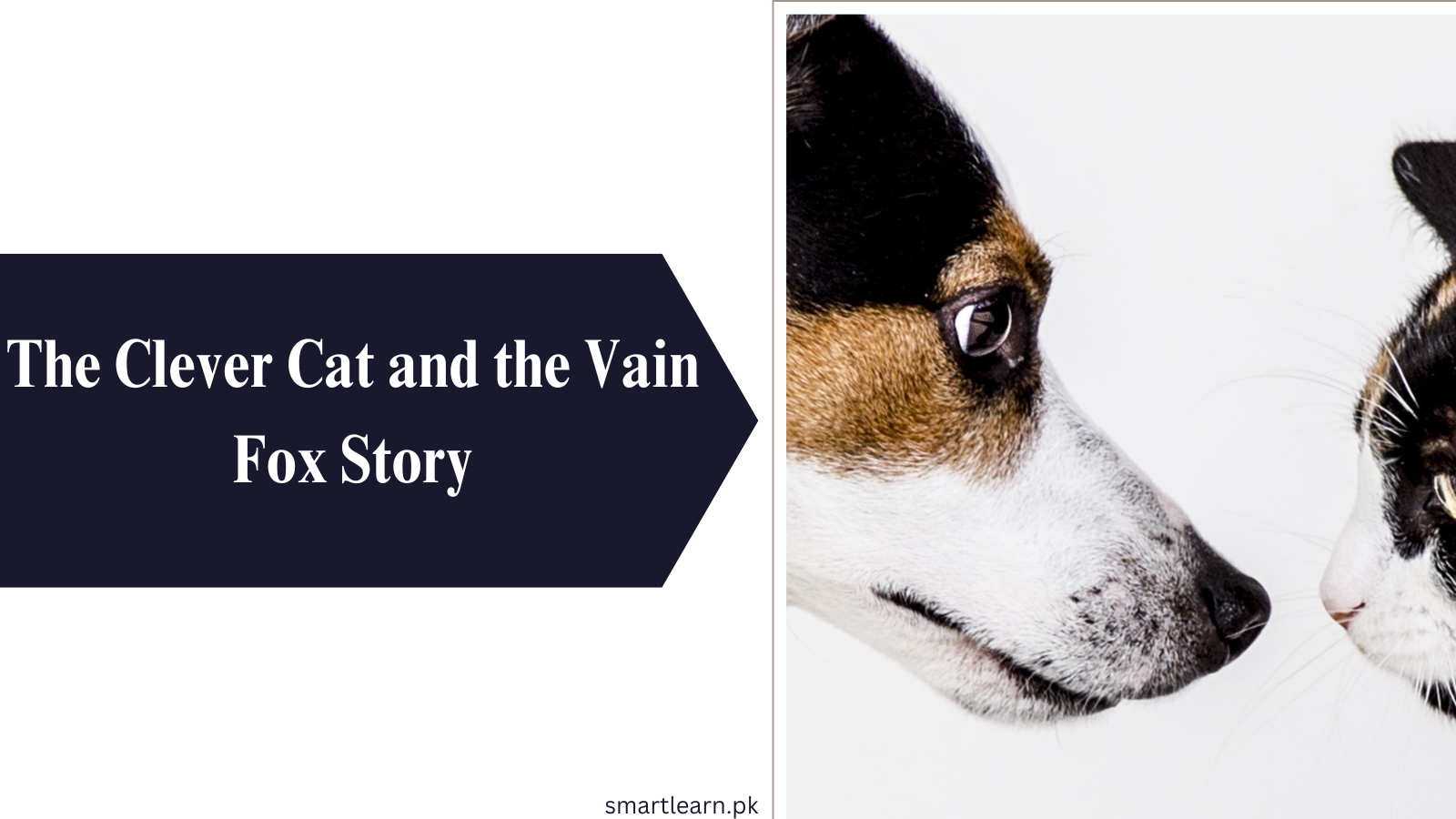 The Clever Cat and the Vain Fox Story For Class 9