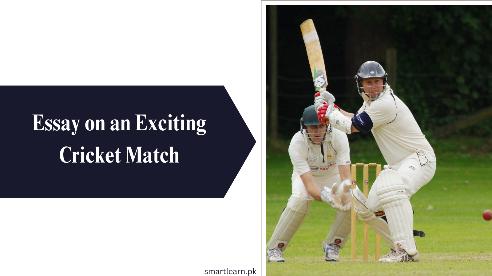 essay about exciting cricket match