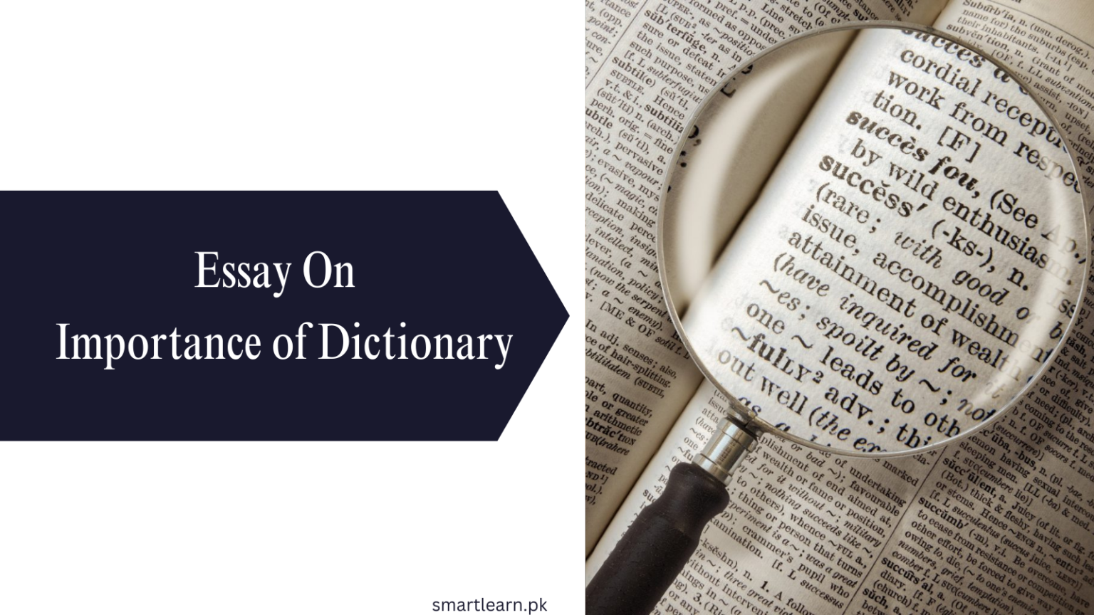 essay on importance of dictionary in students life