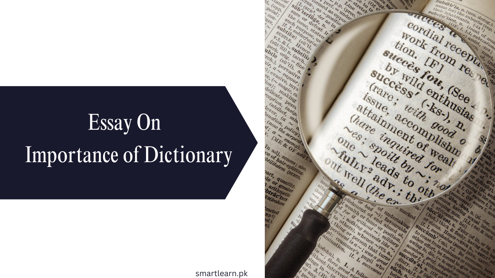 essay on dictionary