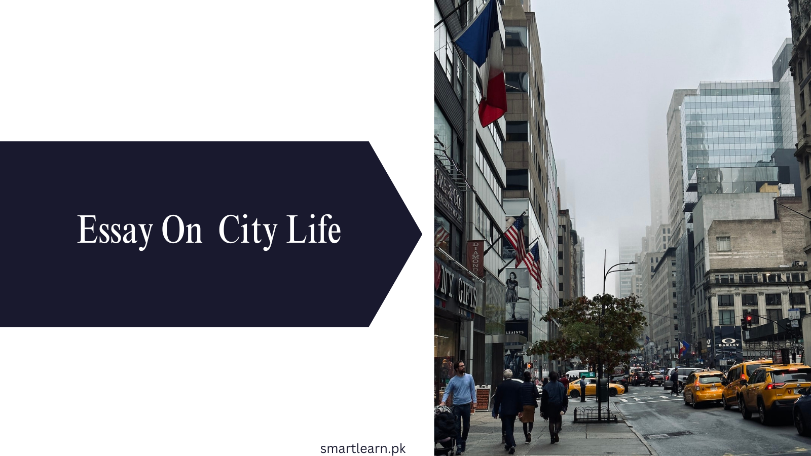 essay about city life