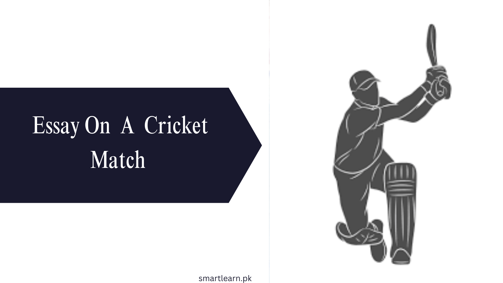 cricket match essay class 10