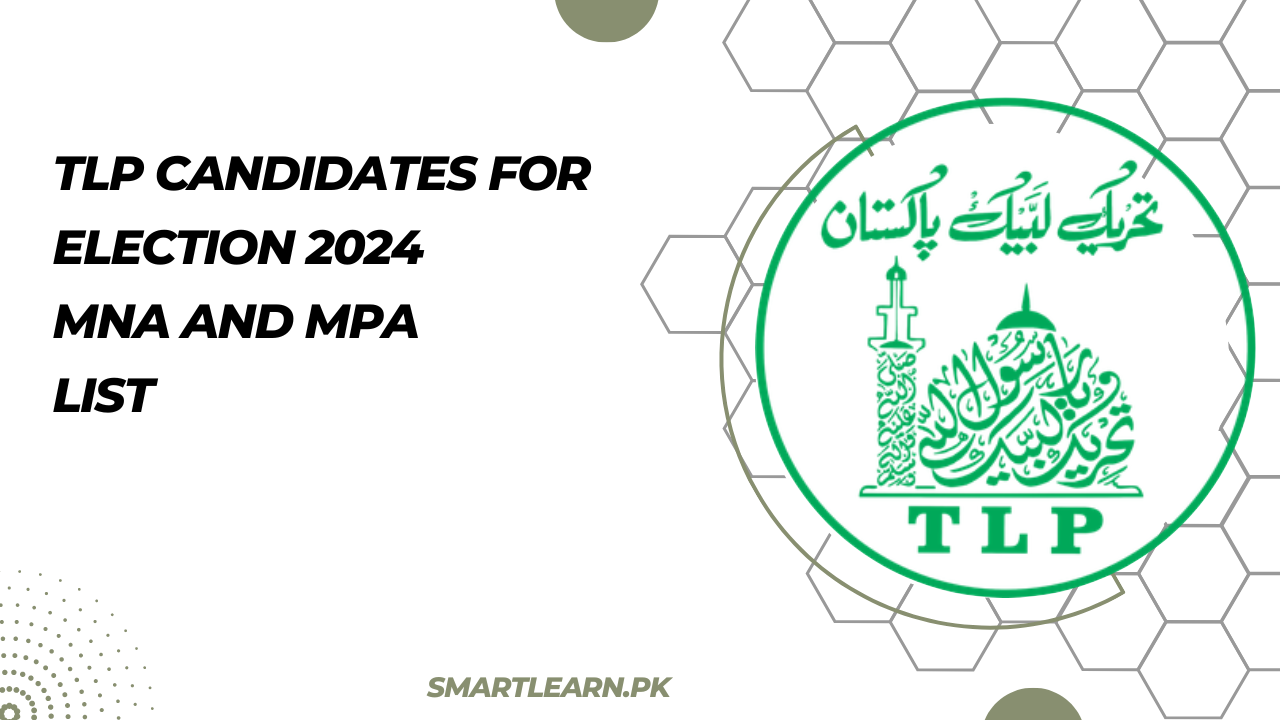 TLP Candidates For Election 2024 MNA And MPA List