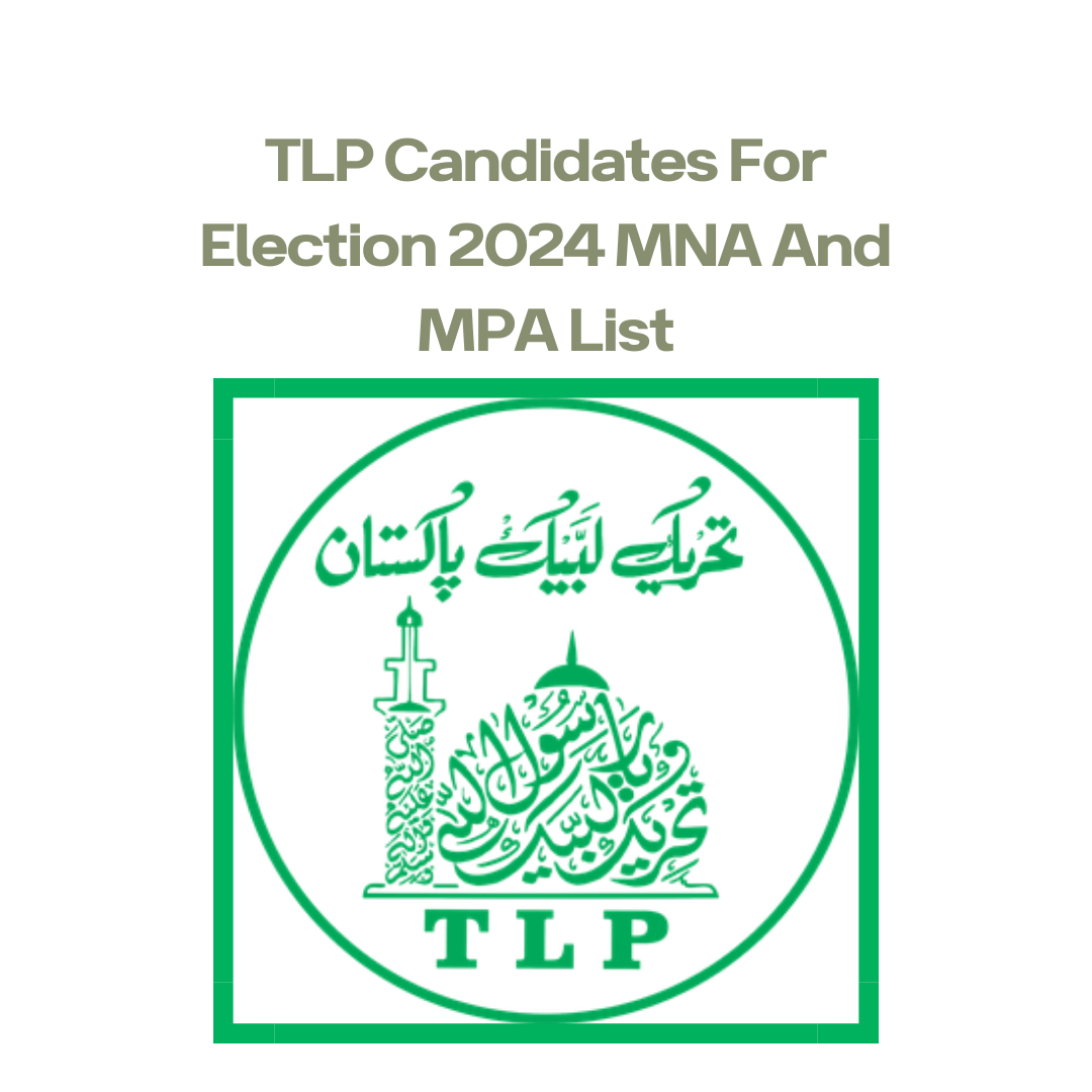 TLP Candidates For Election 2024 MNA And MPA List