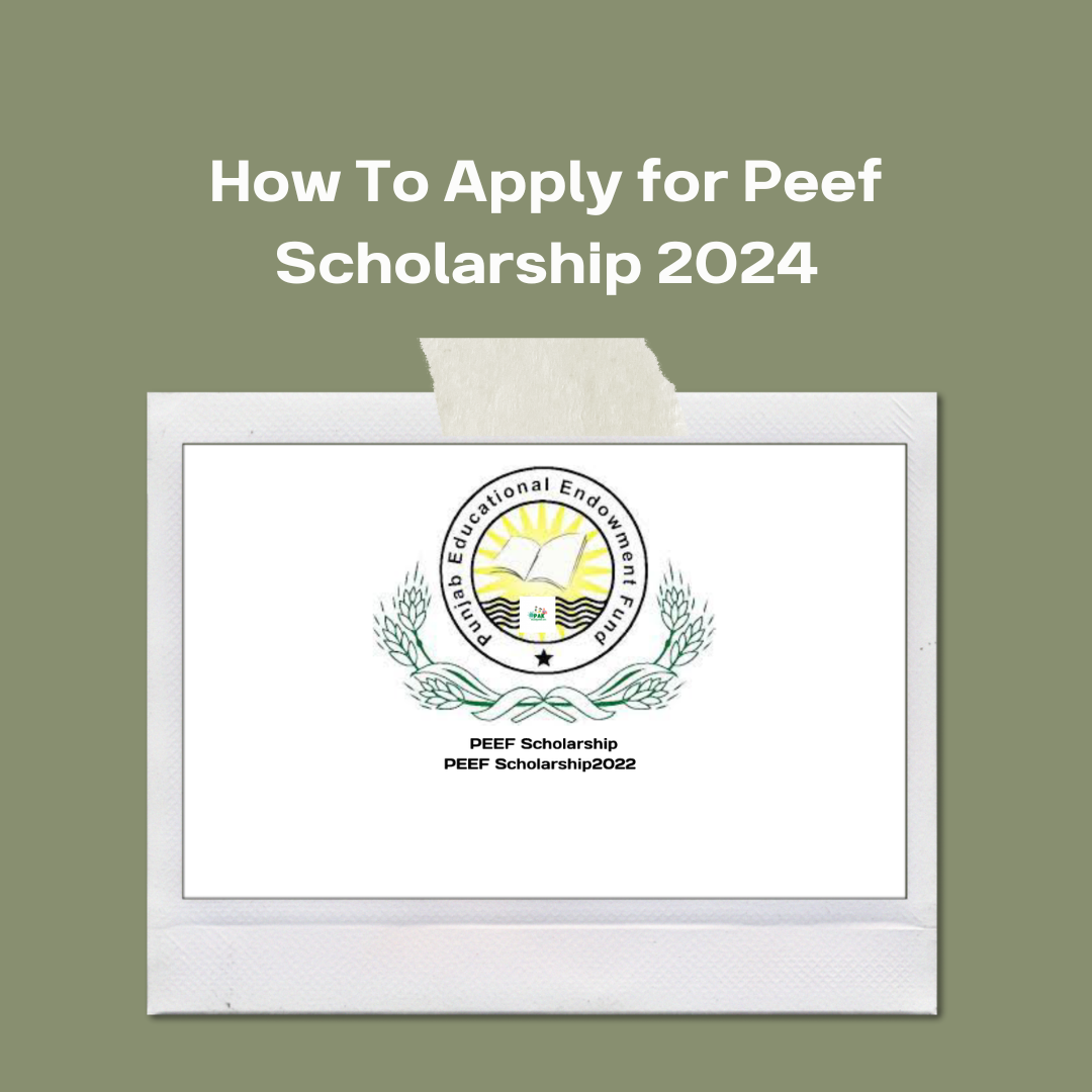 How To Apply for Peef Scholarship 2024