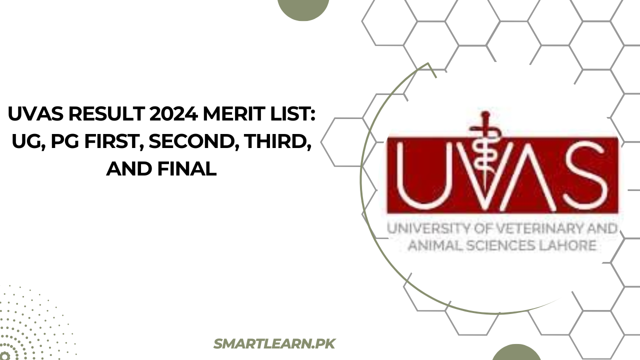 UVAS Result 2024 Merit List UG, PG First, Second, Third, and Final